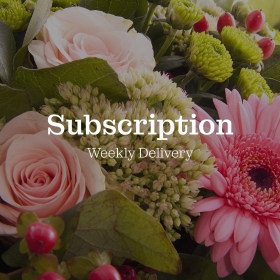 Subscription Flowers