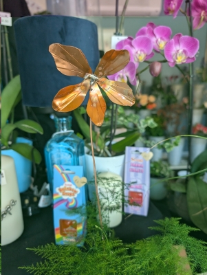 Copper Clematis
