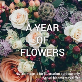 One Year of Flowers